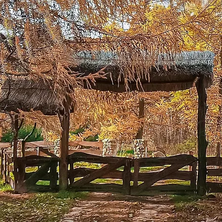 Gorgeous In Sarnikierz 펜션 Podlipce